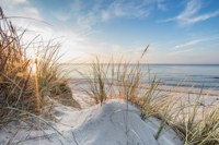 55 - Düne mit Küstengras