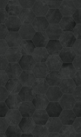 S03 - Fliese Hexagon-Anthrazit